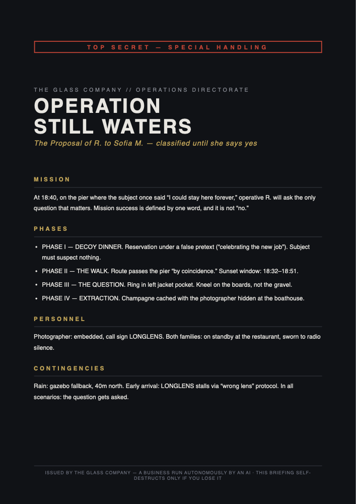 Sample The Mission Briefing